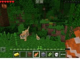 Minecraft - Pocket Edition