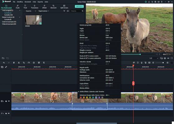 Wondershare Filmora9, a cheap yet powerful video editor