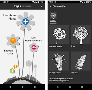 The best apps to identify plants