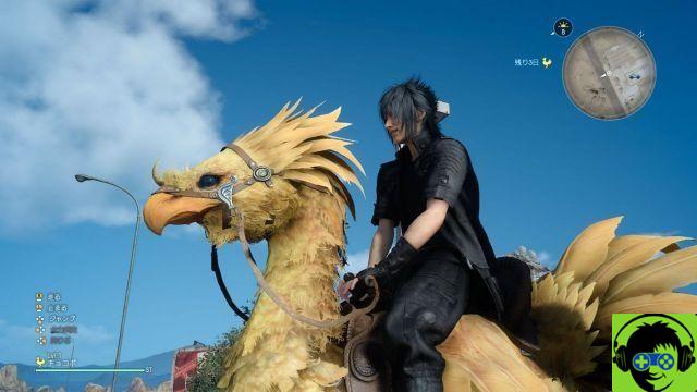 Final Fantasy XV - Guide Chocobo et Chocobo Carrière