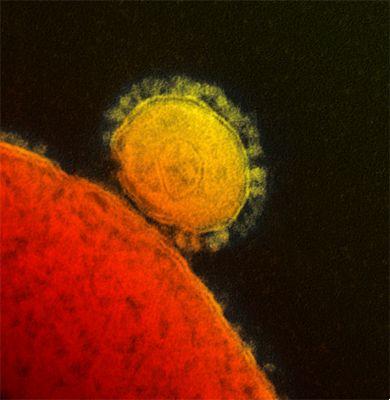 How long can the Covid-19 virus last on Mac, iPhone, Watch or mouse or keyboard? [Updated]