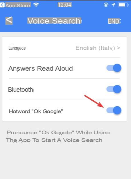 OK Google: how to activate the feature on Android and iOS