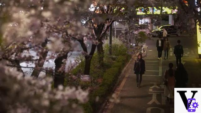 Una noche de primavera, la nieve en primavera: ¿por qué mirarla?