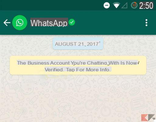WhatsApp Business: cómo funciona
