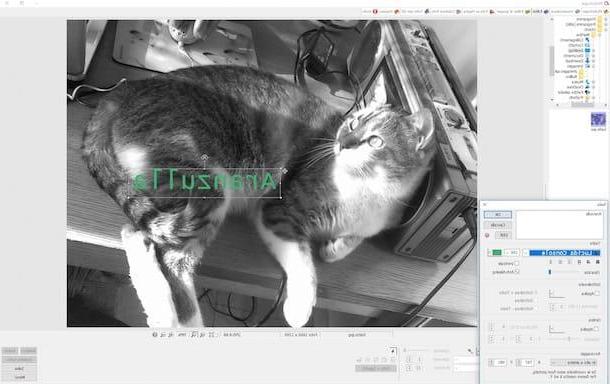Programmi per scrivere sulle foto gratis italiano
