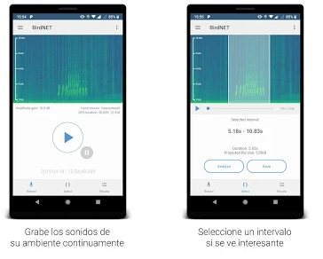 Les meilleures applications pour identifier les oiseaux