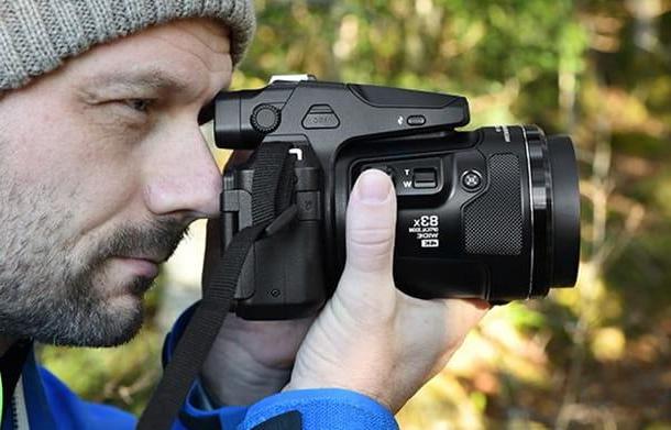 Best Bridge Cameras: Buying Guide