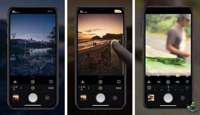 The Best Selfie Apps for iPhone