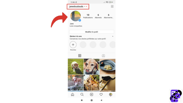 ¿Cómo tomar Instagram principal?