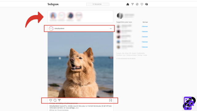 ¿Cómo tomar Instagram principal?