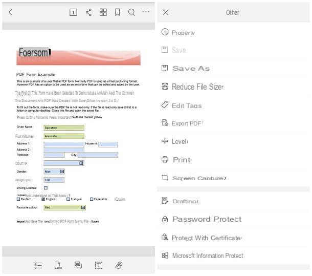 Come faccio a compilare un modulo in PDF