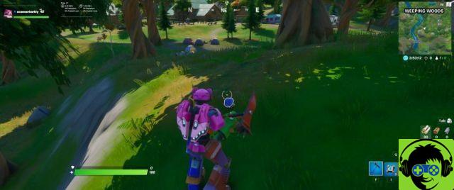 Dove accendere un falò, consumare mele raccolte, consumare funghi raccolti in una partita a Fortnite