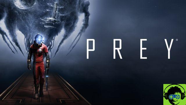 Guide PREY - 7 Conseils Utiles pour bien Débuter