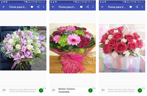As melhores aplicações para o envio de flores