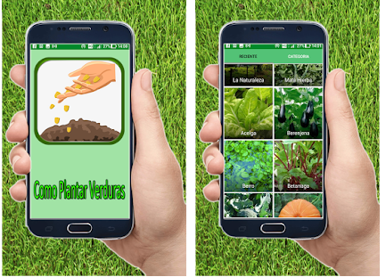 Les meilleures applications de jardinage