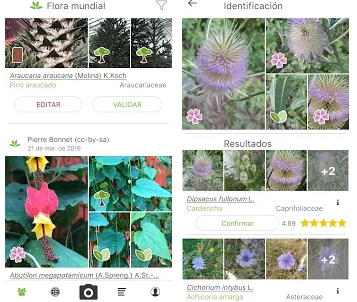 Les meilleures applications de jardinage