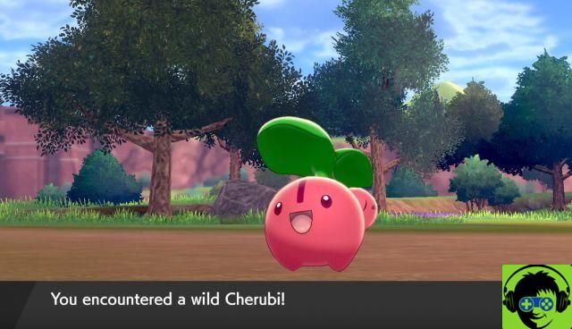 Onde encontrar Ceribou em Pokémon Sword and Shield