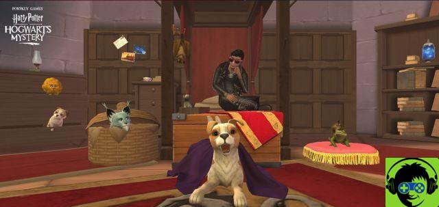 Dorm customization is now available in Hogwarts Mystery