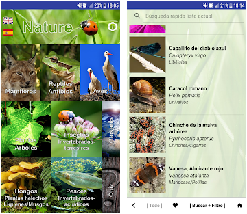 Les meilleures applications pour identifier les insectes