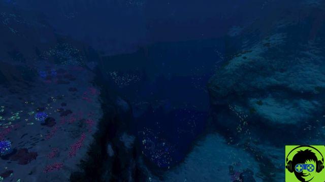 Tutti i biomi Subnautica: posizioni, profondità e nodi di raccolta