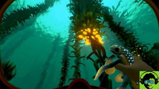 Tutti i biomi Subnautica: posizioni, profondità e nodi di raccolta