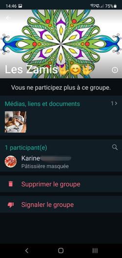 Create and manage discussion groups with WhatsApp