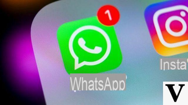 WhatsApp not working: what to do to fix