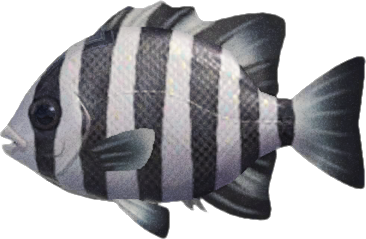 The fish not to be missed in March on Animal Crossing: New Horizons