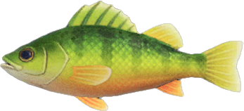 The fish not to be missed in March on Animal Crossing: New Horizons