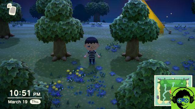 What to do when a wasp hive stings you and how to get medicine in Animal Crossing: New Horizons