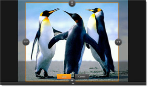 How to Change Wallpaper on Kindle Fire