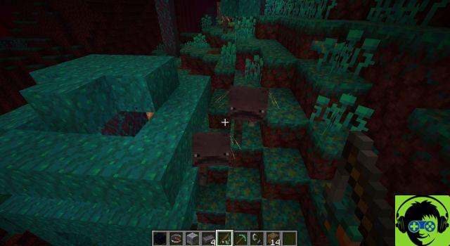 Can you tame striders in Minecraft?