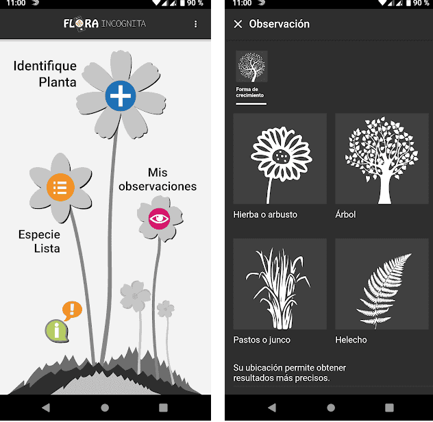 Les meilleures applications pour identifier les plantes