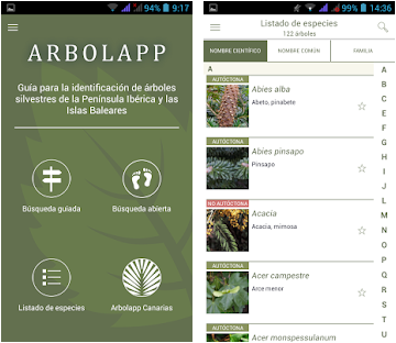 Les meilleures applications pour identifier les plantes