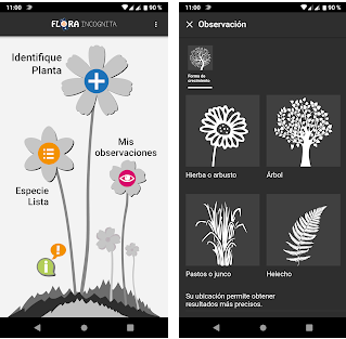 Les meilleures applications pour identifier les plantes