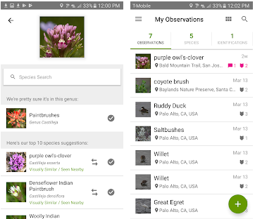 Les meilleures applications pour identifier les plantes