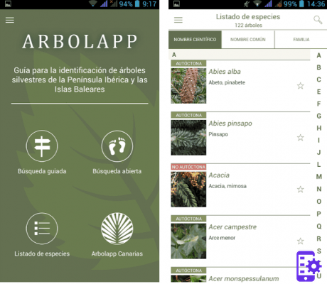 Les meilleures applications pour identifier les plantes