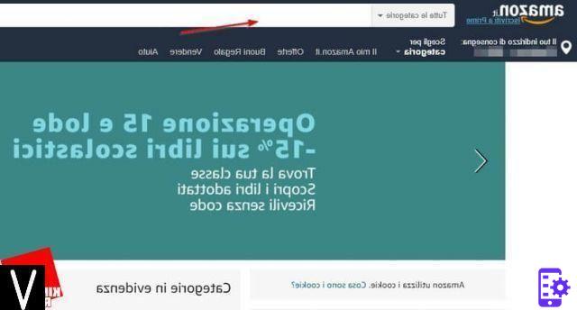 Os melhores sites para comprar sapatos online