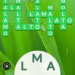 Word Life - Todas las Respuestas y Soluciones del Juego