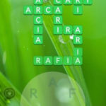 Word Life - Todas las Respuestas y Soluciones del Juego