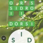 Word Life - Todas las Respuestas y Soluciones del Juego