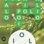 Word Life All Game Answers and Solutions for All Levels