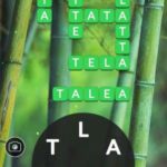 Word Life - Todas las Respuestas y Soluciones del Juego