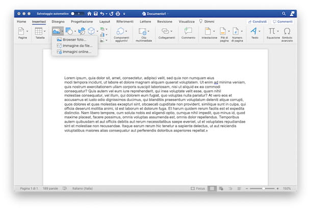 How to insert a picture in Word