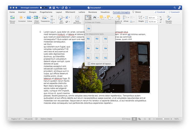 How to insert a picture in Word