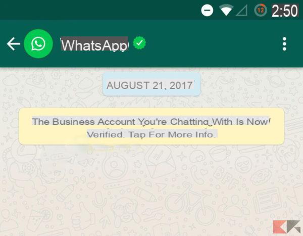 Green ticks WhatsApp: como funcionan