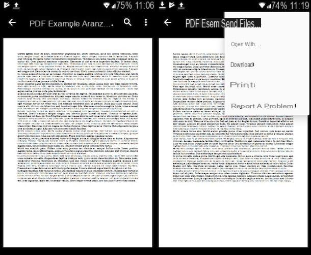 Application PDF