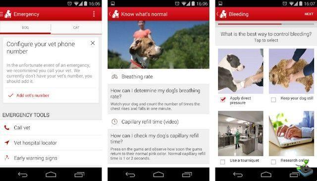 10 app per animali domestici su Android