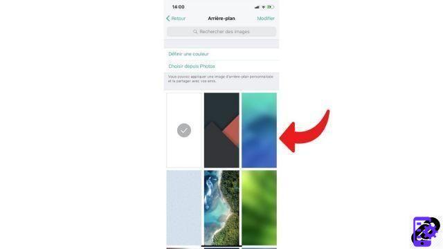 How to change the background on Telegram?