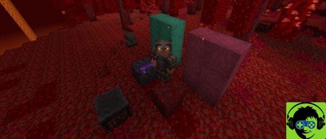 Details of Minecraft Snapshot 20W10A